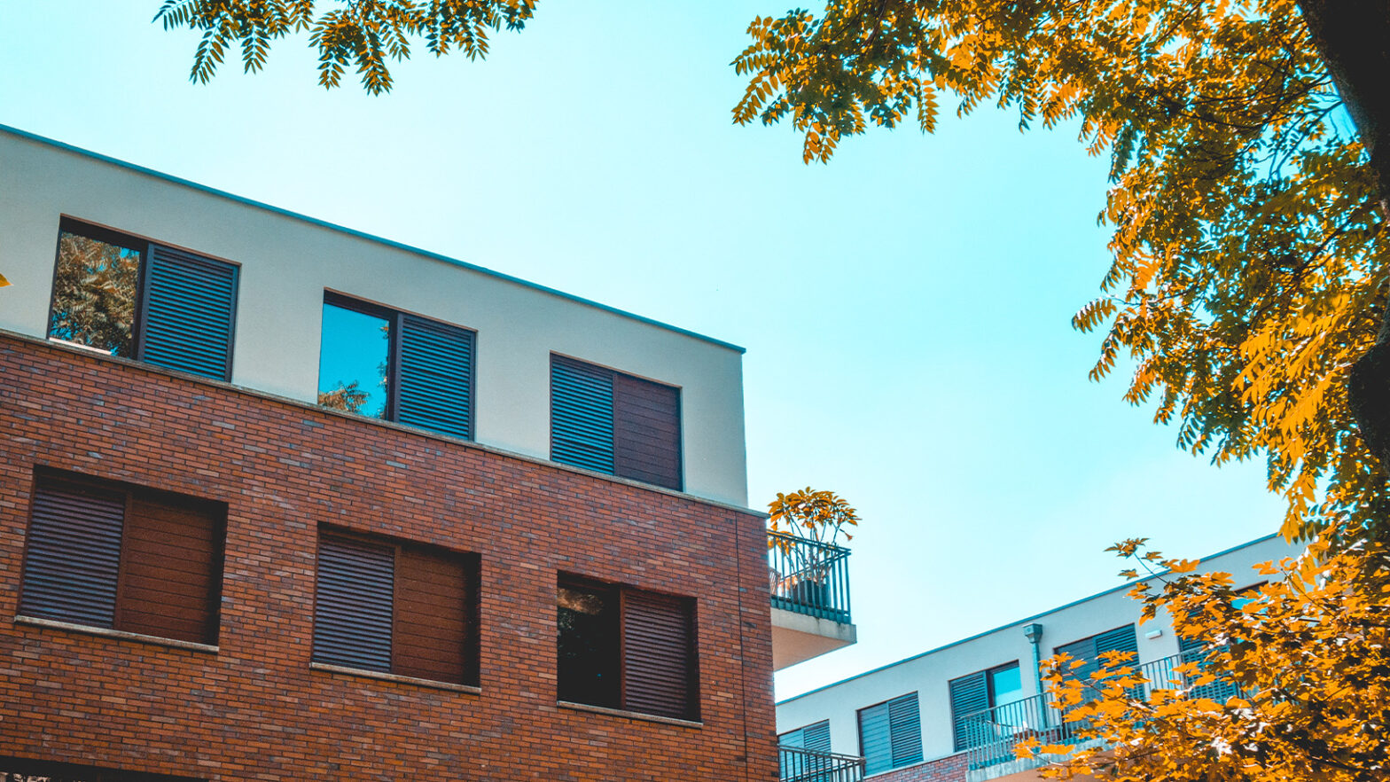 Low-angle view of brick buildings with balconies and closed shutters, surrounded by trees with autumn foliage under a blue sky.